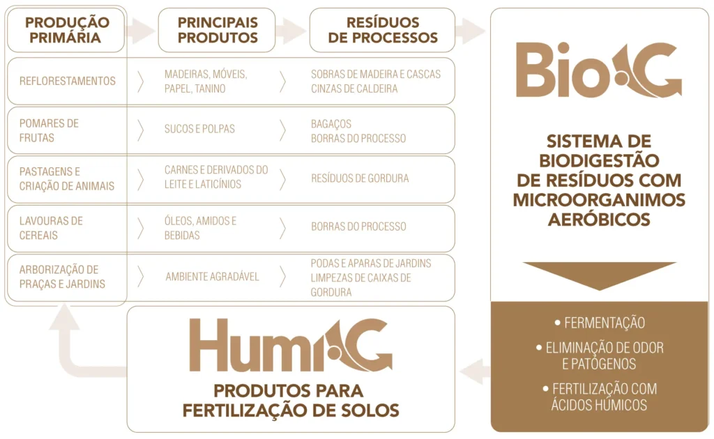 Fluxograma Bio-C